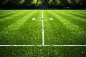 英超,纽卡斯尔欲,速决托纳利,BET365体育APP,体育博彩,移动应用,体育赛事,在线投注,APP下载