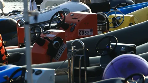 澳赛16胜12积分榜紧咬 专家质合分析预测对决